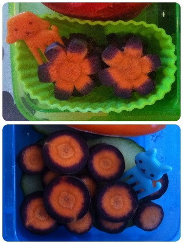 Purple Carrot Flowers & Disks