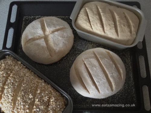 Eats Amazing - Homemade Loaves ready for the oven