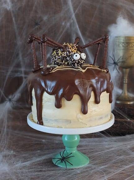 Awesome Spider Themed Food Ideas - Chocolate Peanut Butter Swirl Spider Cake - Elizabeth's Kitchen Diary