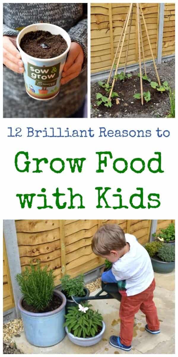 12 great reasons to grow food with kids - find out why gardening and growing your own food is such a great project for kids - Eats Amazing UK
