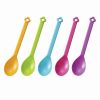 Rainbow Flower Spoons - Set of 10 from the Eats Amazing Shop - UK Bento Accessories
