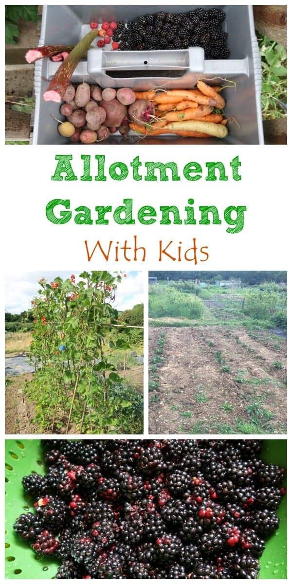 The benefits of growing food with kids and how gardening on an family allotment can help encourage healthy eating - Eats Amazing UK