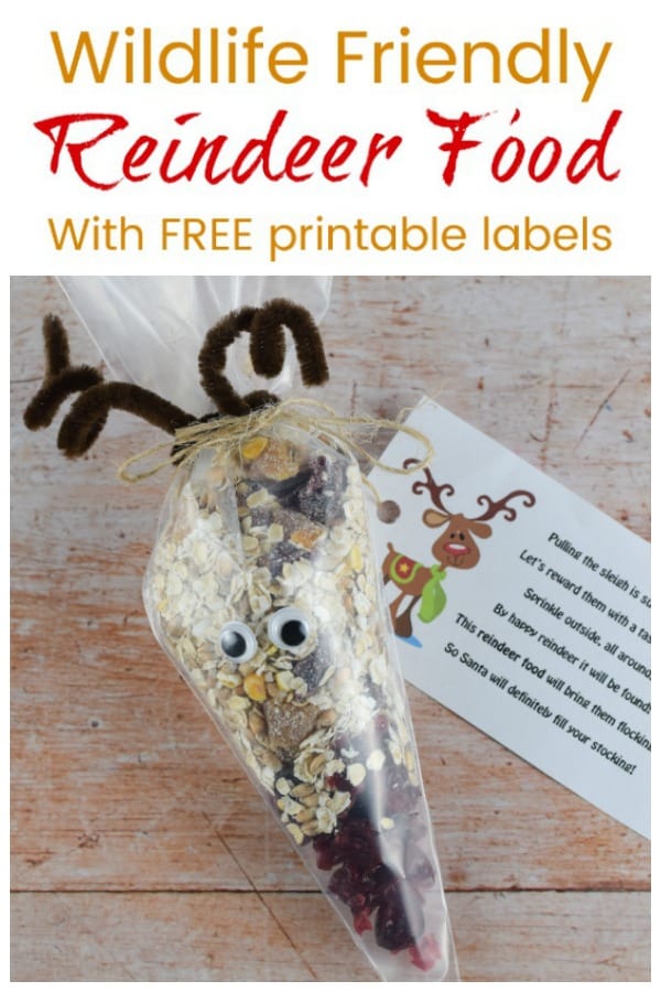 Wildlife Friendly Reindeer Food recipe with FREE printable labels - cute and easy Christmas gift idea for kids to make for friends - perfect for Christmas Eve Boxes