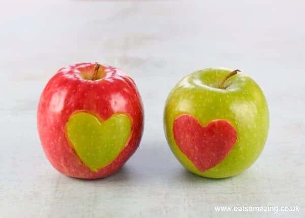 Shiny pink and green Apples with hearts cut into the skin and swapped - standing side by side on a grey green backdrop