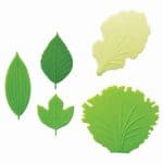 Silicone Leaf Dividers - Set of 5 - Eats Amazing Bento UK Shop