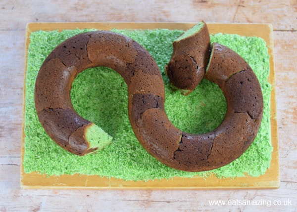 Birthday cake idea for kids - fun snake cake recipe - step 7 assemble cake on the cake board