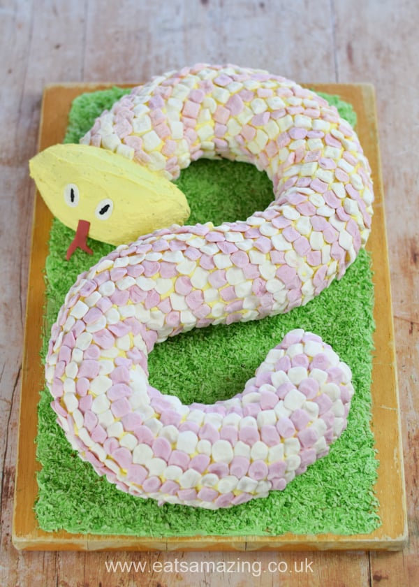 Fun snake cake with marshmallow scales - with full recipe photos and instructions to make this fun cake for kids