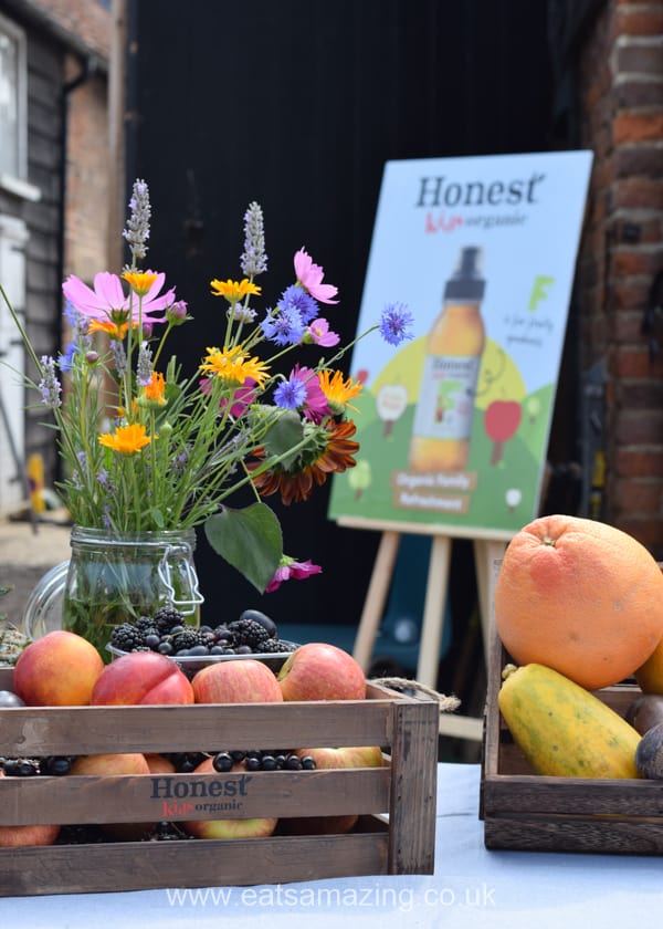 Honest kids organic juice - our visit to an organic farm to see how fruit is grown