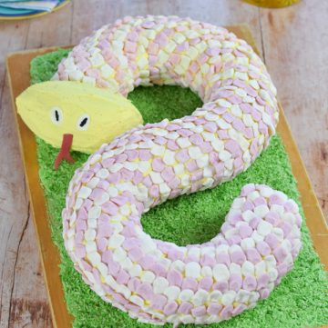 How to make a snake cake - tutorial and recipe with full instructions to make this fun birthday cake for kids