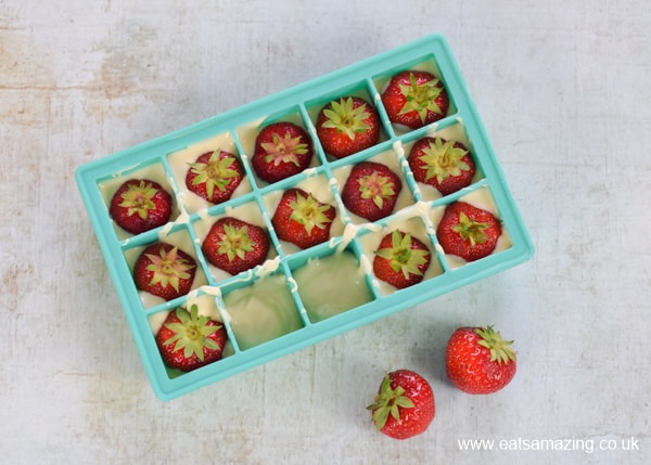 How to make white chocolate covered strawberries in an ice cube tray - step 2 add the strawberries