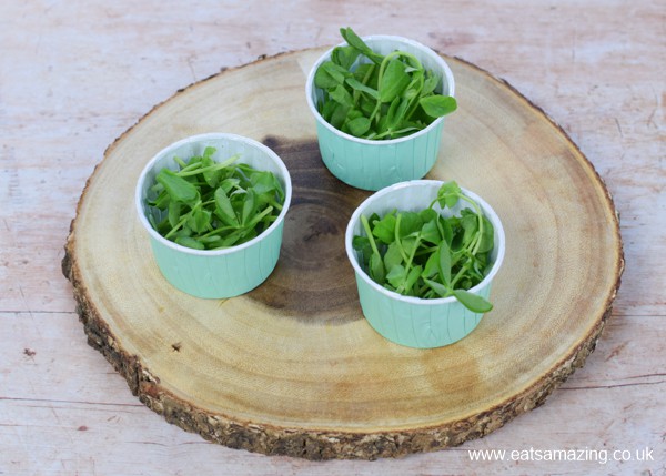 How to make a cute garden themed mini side salad for kids - step 2 add pea shoots to paper muffin cups