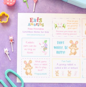 FREE Printable fun Easter lunchbox notes with cute bunny themed jokes quotes and fun facts for kids